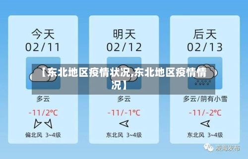 【东北地区疫情状况,东北地区疫情情况】