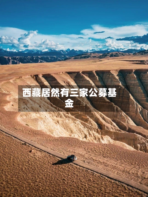 西藏居然有三家公募基金