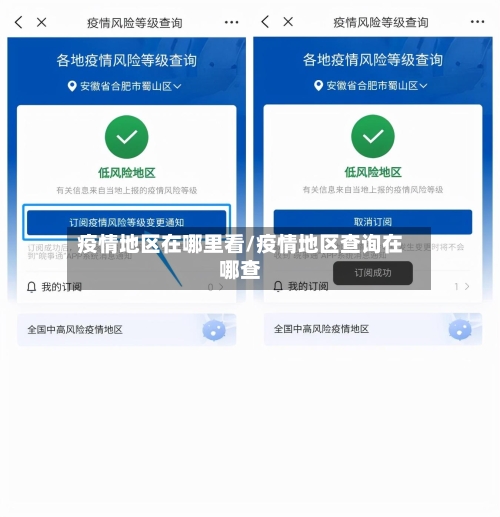 疫情地区在哪里看/疫情地区查询在哪查