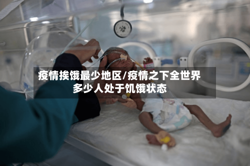 疫情挨饿最少地区/疫情之下全世界多少人处于饥饿状态