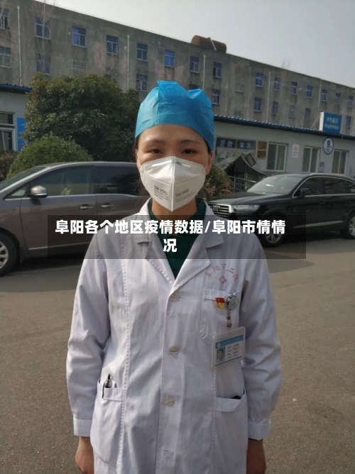阜阳各个地区疫情数据/阜阳市情情况