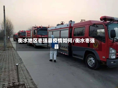 衡水地区枣强县疫情如何/衡水枣强县