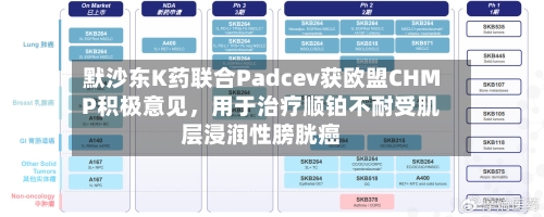 默沙东K药联合Padcev获欧盟CHMP积极意见，用于治疗顺铂不耐受肌层浸润性膀胱癌