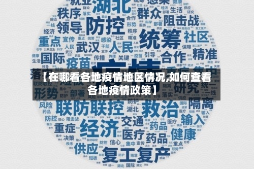 【在哪看各地疫情地区情况,如何查看各地疫情政策】