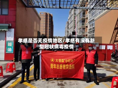 孝感是否无疫情地区/孝感有没有新型冠状病毒疫情