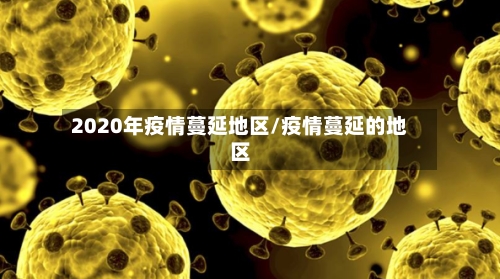 2020年疫情蔓延地区/疫情蔓延的地区