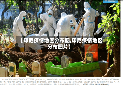 【印尼疫情地区分布图,印尼疫情地区分布图片】
