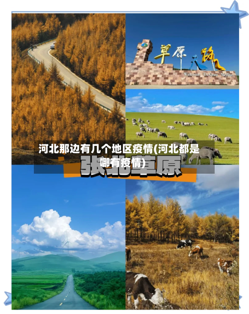 河北那边有几个地区疫情(河北都是哪有疫情)