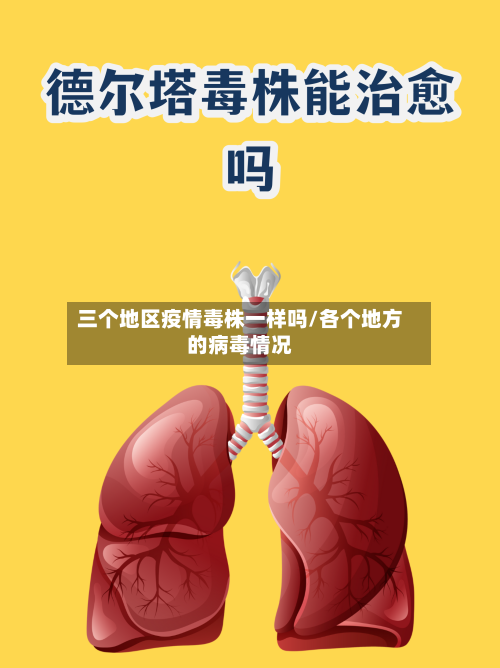 三个地区疫情毒株一样吗/各个地方的病毒情况