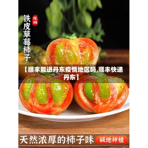 【顺丰能进丹东疫情地区吗,顺丰快递丹东】
