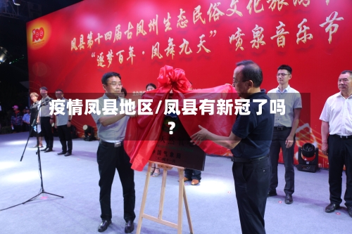 疫情凤县地区/凤县有新冠了吗?