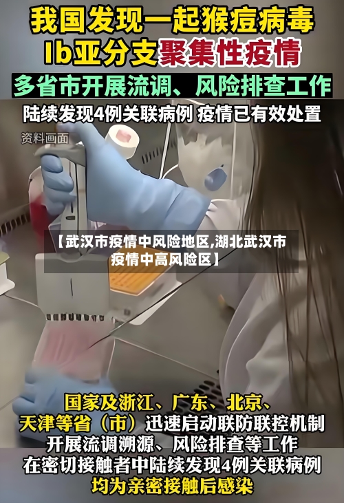 【武汉市疫情中风险地区,湖北武汉市疫情中高风险区】