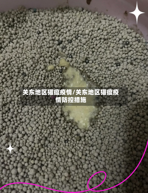 关东地区猫瘟疫情/关东地区猫瘟疫情防控措施