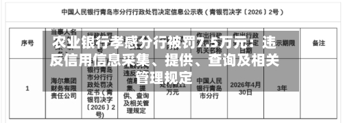 农业银行孝感分行被罚7.5万元：违反信用信息采集、提供、查询及相关管理规定