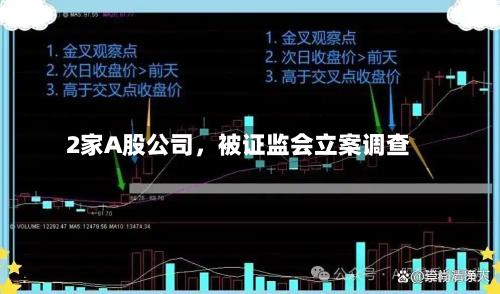 2家A股公司，被证监会立案调查