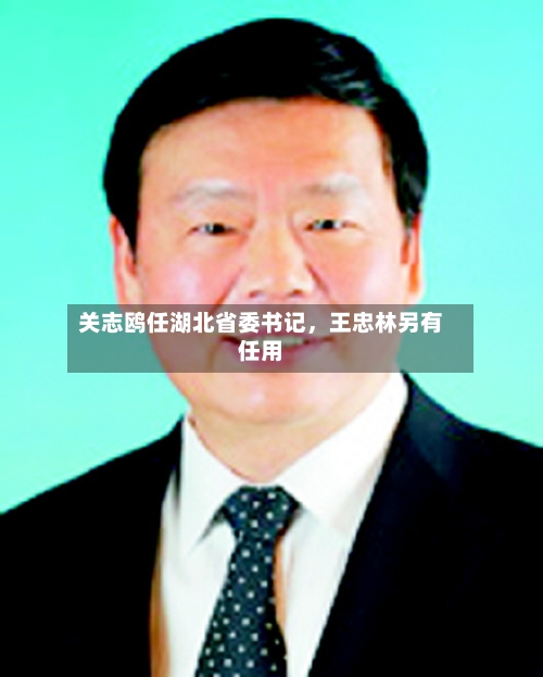 关志鸥任湖北省委书记，王忠林另有任用