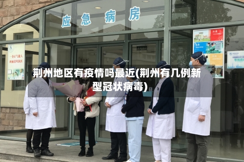 荆州地区有疫情吗最近(荆州有几例新型冠状病毒)