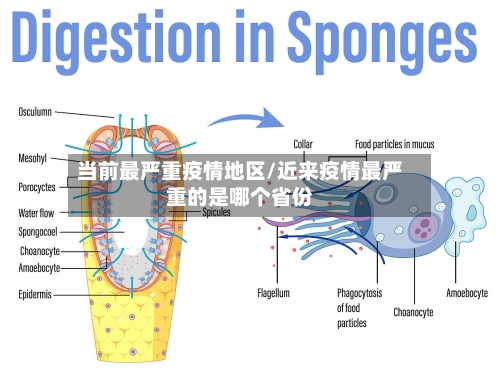 当前最严重疫情地区/近来疫情最严重的是哪个省份
