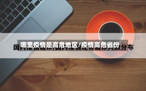 哪里疫情是高危地区/疫情高危省份