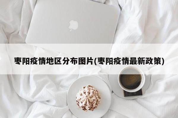 枣阳疫情地区分布图片(枣阳疫情最新政策)